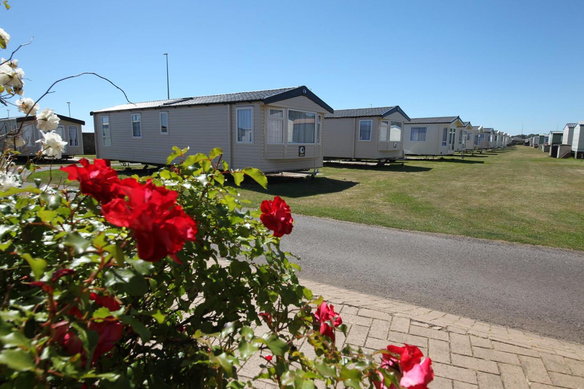 Red Lion Holiday Park Arbroath Eksteriør bilde